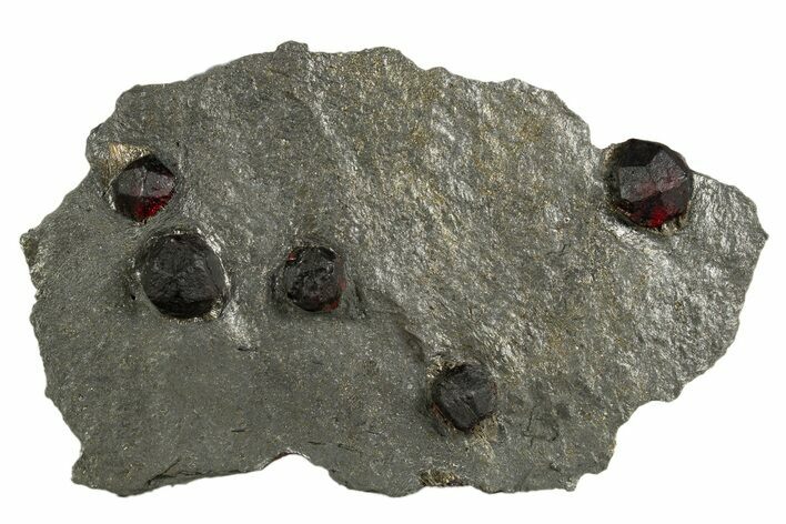 Plate of Five Red Embers Garnets in Graphite - Massachusetts #313674